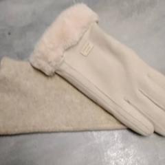 Gloves Beige, as reported by Arriva Friesland / Groningen using iLost