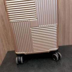 İLost kullanarak Rotterdam The Hague Airport tarafından bildirildiği gibi Trolleykoffer