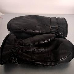 Luvas, segundo informou Keolis Lund usando iLost