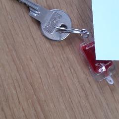huissleutel met sleutelhanger van Sanquin, segons s'ha informat a iLost