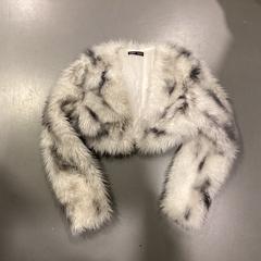 Jacket - 091125 GAGA, as reported by Ziggo Dome using iLost