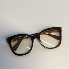 Etui na okulary z okularami, zgłoszono przez Gemeente Haarlem przy użyciu iLost