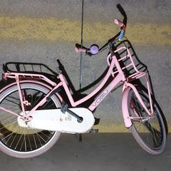 Kinderfiets Vogue, come riportato da Gemeente Nijkerk utilizzando iLost