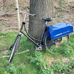 fiets, as reported to iLost