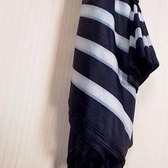 Paraigües, segons ha informat Qbuzz Fryslân mitjançant iLost