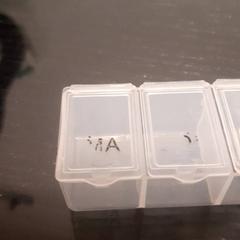 Medication, ako bolo nahlásené Grand Hotel Amrath Kurhaus pomocou iLost