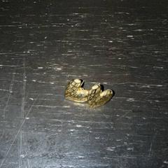 Oorbellen Goud, hartjesvormig, zoals gemeld door Van der Valk Hotel Amsterdam-Amstel met iLost