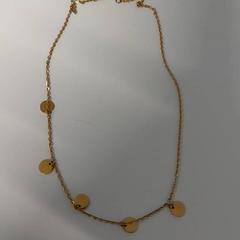 Kettinkje, a été signalé par St. Antonius Ziekenhuis Utrecht utilisant iLost