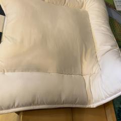 Boxkleed, as reported by Familie Resort Molenwaard using iLost