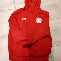 Mikina, jak nahlášeno Gemeente Puurs-Sint-Amands pomocí iLost