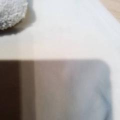 Xoguete de peluche, segundo informou Beekse Bergen Resorts en Hotel usando iLost