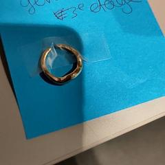 Ringe, som rapportert av Bibliotheek Neude (Utrecht) ved bruk av iLost