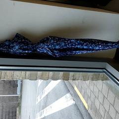 Paraguas, ha sido reportado por Centraal magazijn con iLost