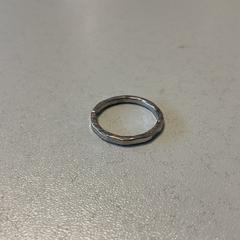 Anell Zilverkleurige, segons ha informat Breng Arnhem mitjançant iLost