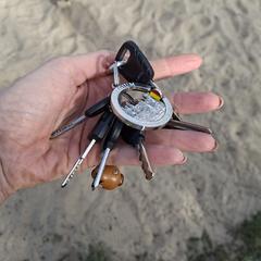 Sleutelbos, iLost-i jakinarazi zaion moduan