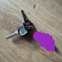 Fiets- en huissleutel met sleutelhanger, ha sido reportado a iLost
