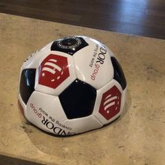 Boll Zwart/wit, rapporterat av Van der Valk Hotel Zwolle med iLost