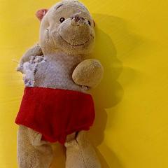 Pelutxezko hartza, gisa salatu by IKEA Mulhouse iLost erabiliz