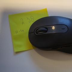 Ratolí, segons ha informat Cursus en vergadercentrum Domstad mitjançant iLost