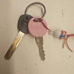 المفاتيح (متنوعة)، كما تم الإبلاغ عنه بواسطة GVB عبر iLost