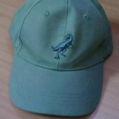 Cap, as reported by Het Spoorwegmuseum using iLost