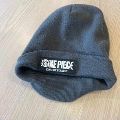 قبعة صغيرة OnePiece، كما تم الإبلاغ عنه بواسطة Van Heugten Tours عبر iLost