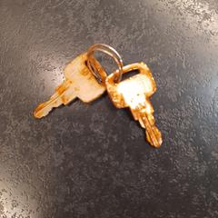 2 sleuteltjes, zoals gemeld door Rotterdam The Hague Airport met iLost