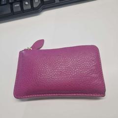 Carteira portefeuille, segundo informou Stad Hasselt usando iLost