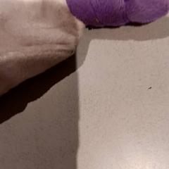 Knuffel, zoals gemeld door De Efteling met iLost