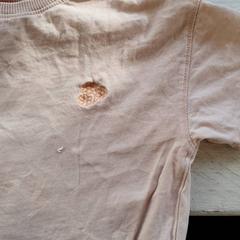 Tshirt Roze, zoals gemeld door DierenPark Amersfoort met iLost