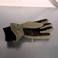 Guanto, come riportato da Keolis Lund utilizzando iLost