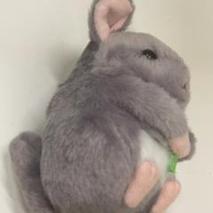 Cuddly toy, as reported by IKEA鶴浜 using iLost