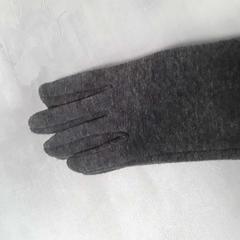 Handschoenen grijs, as reported by Arriva Friesland / Groningen using iLost