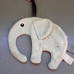 Cuddly slap knufeld, as reported by Diergaarde Blijdorp using iLost