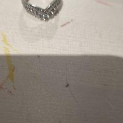 الخاتم ring silver colour، كما تم الإبلاغ عنه بواسطة IKEA Wilrijk عبر iLost