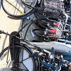 Zwarte opoefiets Delta, ako bolo nahlásené Stadswerk072 pomocou iLost