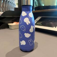 Flaska blauw met nijntje, rapporterat av Van der Valk Hotel Deventer med iLost