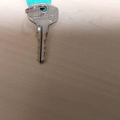 Sleutel، كما تم الإبلاغ عنه بواسطة Centraal magazijn عبر iLost