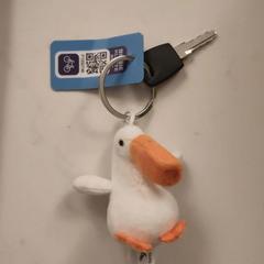 fiets sleutel met pelicaan, jak bylo nahlášeno na iLost