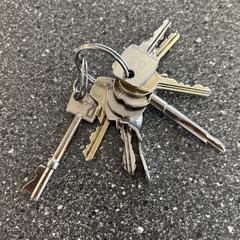 Sleutelbos, amint azt Connexxion Amstelland-Meerlanden Amstelveen az iLost segítségével jelentette.