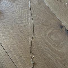 Goud kettinkje met 2 pareltjes, ako bolo nahlásené iLost