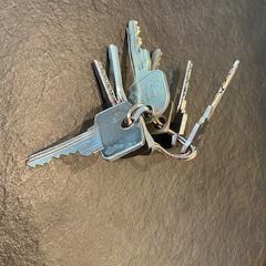 Key Sleutelbos, as reported by Gemeente Zonhoven using iLost