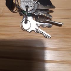 Sleutelbos aan zwart draaglint, som rapporterats till iLost