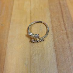 Ring, gemeldet von Bolognalaan 101 über iLost