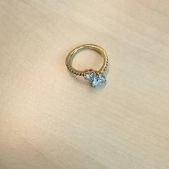 İLost kullanarak Arriva Den-Bosch tarafından bildirildiği gibi Yüzük