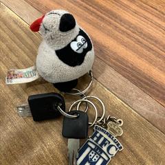 Sleutelhanger met  sleutel sleutelbos, a été signalé par Gemeente Heemstede utilisant iLost