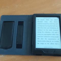 قارئ إلكتروني E-boek electr، كما تم الإبلاغ عنه بواسطة Carlton Beach Hotel عبر iLost