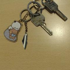 Porte-clés, a été signalé par Walibi Holland utilisant iLost