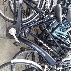 Rower męski batavus, zgłoszono przez Stadswerk072 przy użyciu iLost