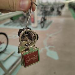 Sleutels / sleutelbos / keys، كما تم الإبلاغ عنه عبر iLost